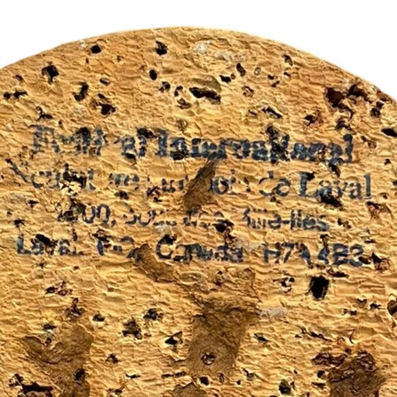 ARTISAN Handmade Gray Shorebird Resting Wood Sculpture Cork Base Decoy Quebec - Picture 14 of 15